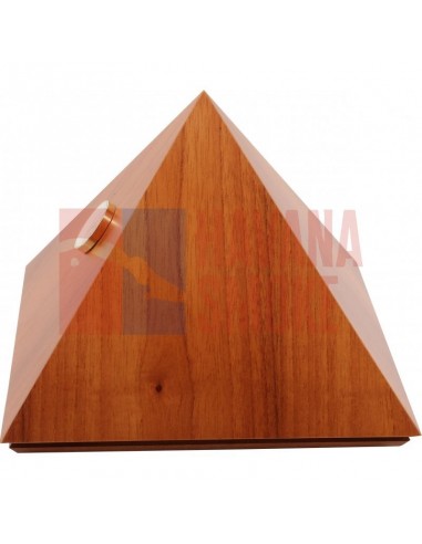 ARTURO FUENTE DON CARLOS №3