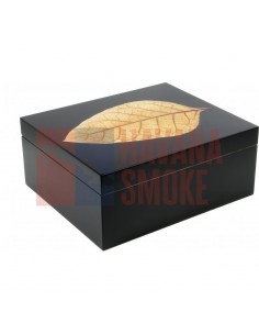 CUESTA REY CENTRO FINO SUNGROWN №60