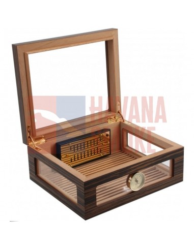 Аdorini Treviso Deluxe - купить в интернет-магазине Havana Smoke