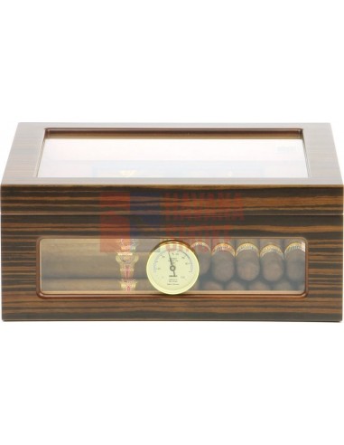 Аdorini Treviso Deluxe - купить в интернет-магазине Havana Smoke