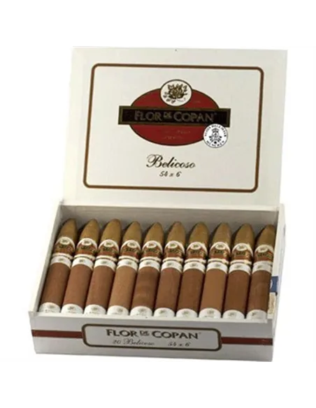 FLOR DE COPAN BELICOSO