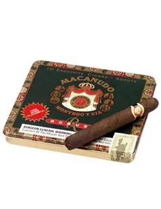 MACANUDO ROBUST ASCOTS