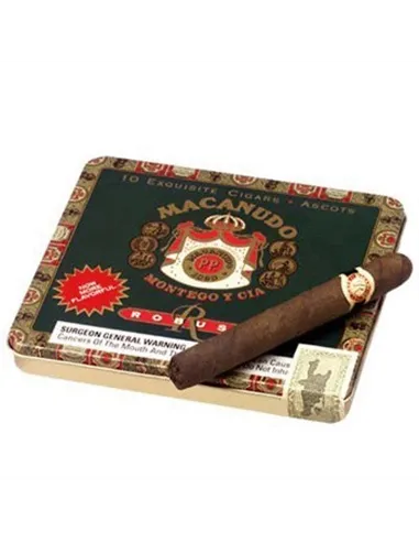 MACANUDO ROBUST ASCOTS