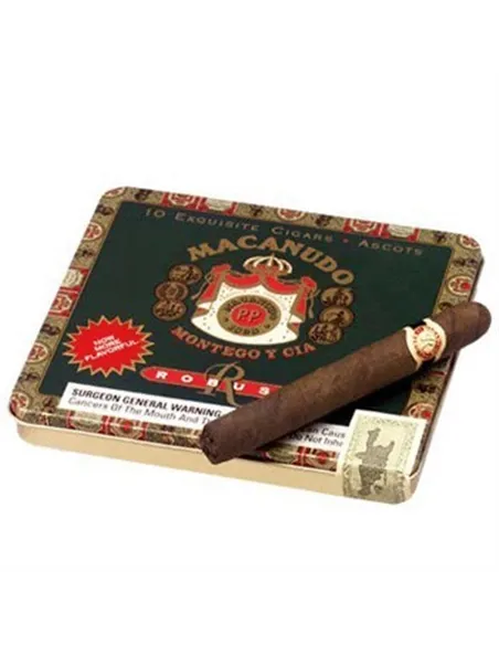 MACANUDO ROBUST ASCOTS