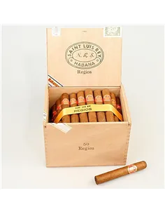 SAINT LUIS REY REGIOS