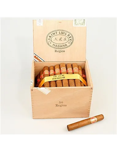 SAINT LUIS REY REGIOS