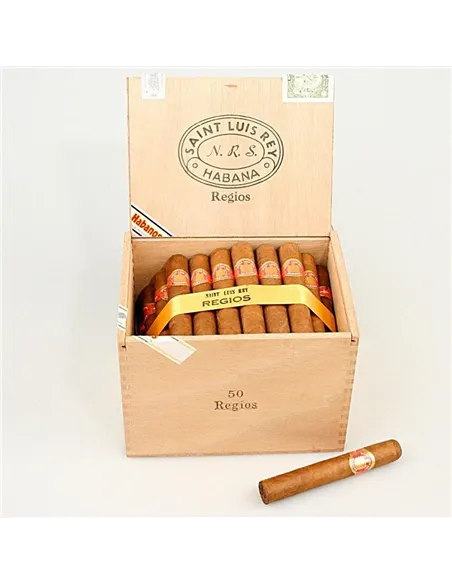 SAINT LUIS REY REGIOS