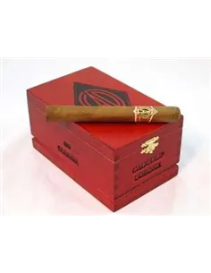 CAO Gold Corona