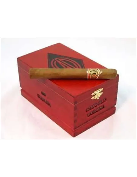 CAO Gold Corona