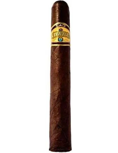 CAO La Traviata Animado