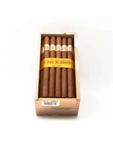 Hoyo de Monterrey Hoyo du Gourmet