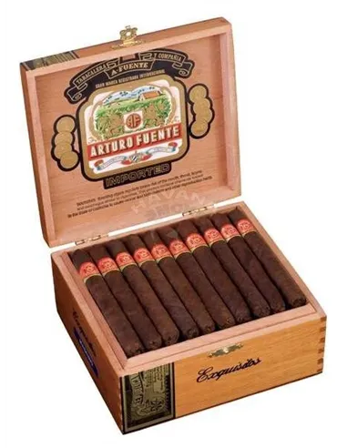 ARTURO FUENTE EXQUISITO NATURAL