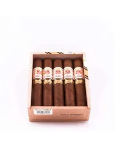Hoyo de Monterey Grand Epicure 2013