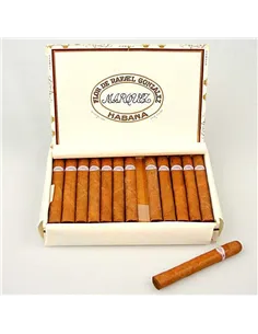 RAFAEL GONZALES PETIT CORONAS
