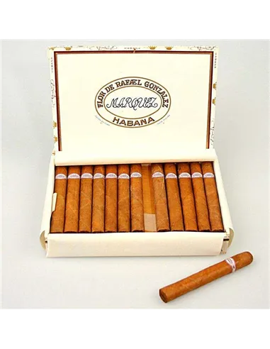 RAFAEL GONZALES PETIT CORONAS