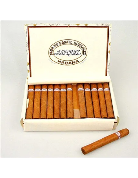 RAFAEL GONZALES PETIT CORONAS