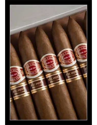 Romeo y Julieta Piramides Anejados