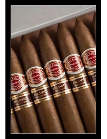 Romeo y Julieta Piramides Anejados