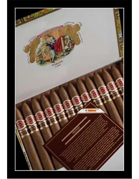 Romeo y Julieta Piramides Anejados