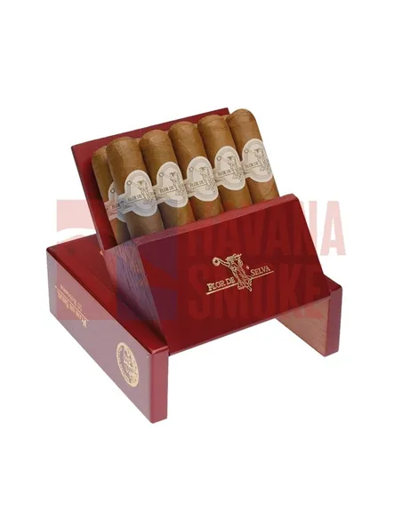 Flor de Selva Talanga Robusto набор из 10 сигар