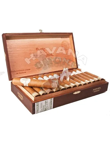 Flor De Selva Robusto Boite