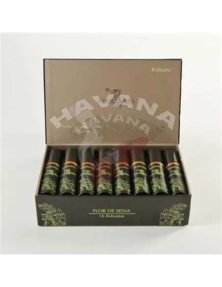 Flor de Selva Robusto Tubos
