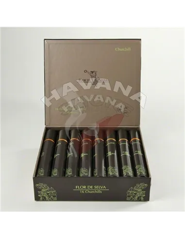 Flor de Selva Churchill Tubos