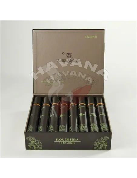 Flor de Selva Churchill Tubos