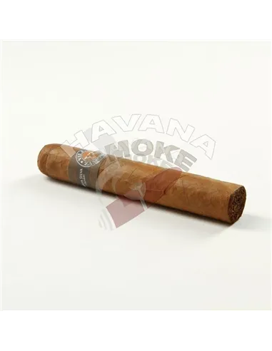 Villa Zamorano Fagot Robusto