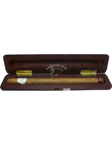 Flor de Selva Extremo