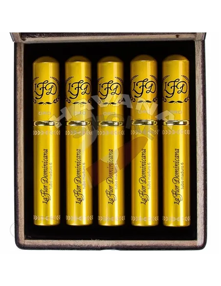 La Flor Dominicana Oro No 6