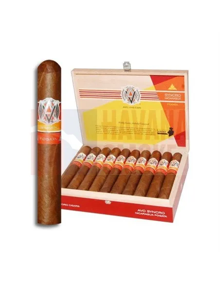 Avo Syncro Fogata Special Toro