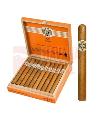 AVO XO Preludio