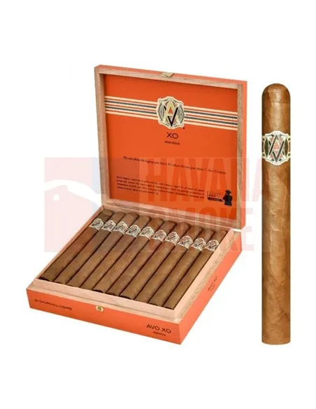 AVO XO Maestoso