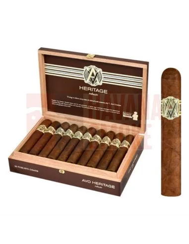 AVO Heritage Robusto