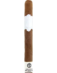 Principle Aviator Patrie