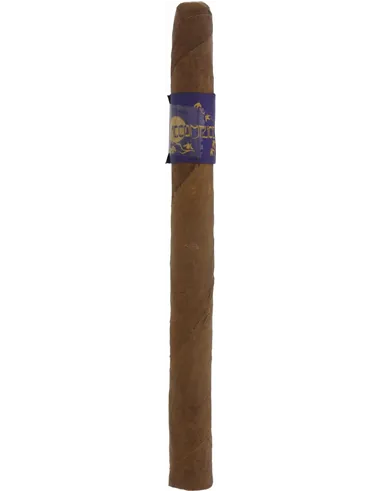 Principle Accomplice Corojo Lancero