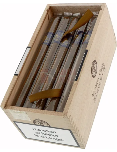 Principle Accomplice Corojo Lancero