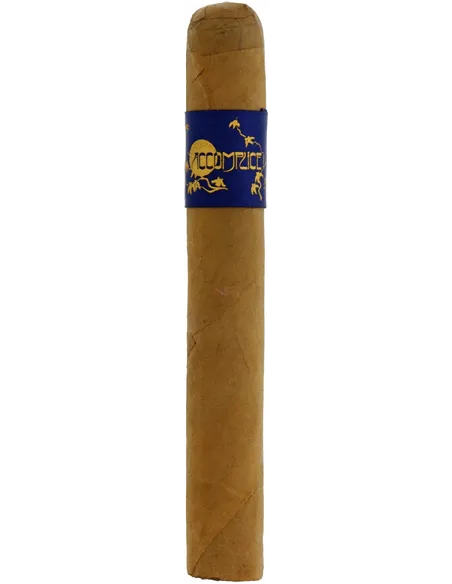 Principle Accomplice Connecticut Toro