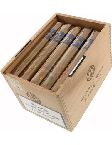 Principle Accomplice Connecticut Toro