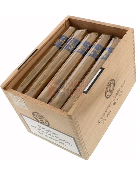 Principle Accomplice Connecticut Toro