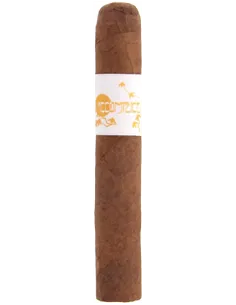 Principle Accomplice Classic Robusto