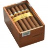 Купить COHIBA SIGLO 5