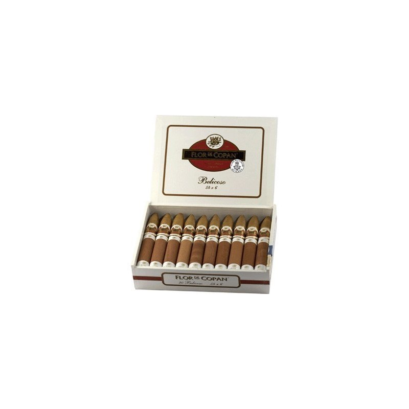 Купить FLOR DE COPAN BELICOSO