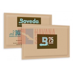 Купить Увлажнитель Boveda 75%