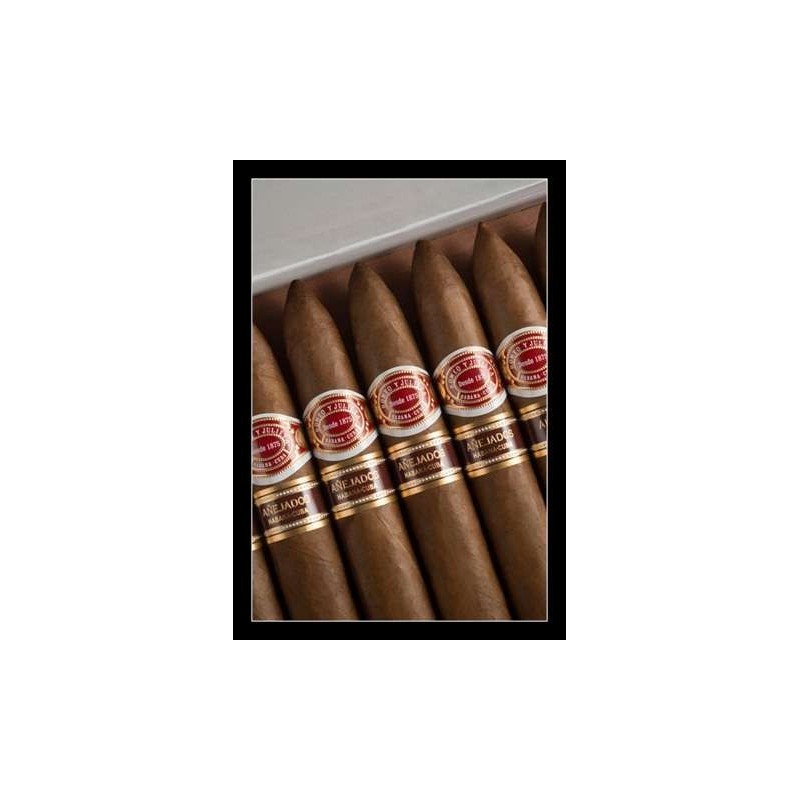 Купить Romeo y Julieta Piramides Anejados