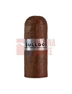 Pelo de Oro Bulldog Sun Grown