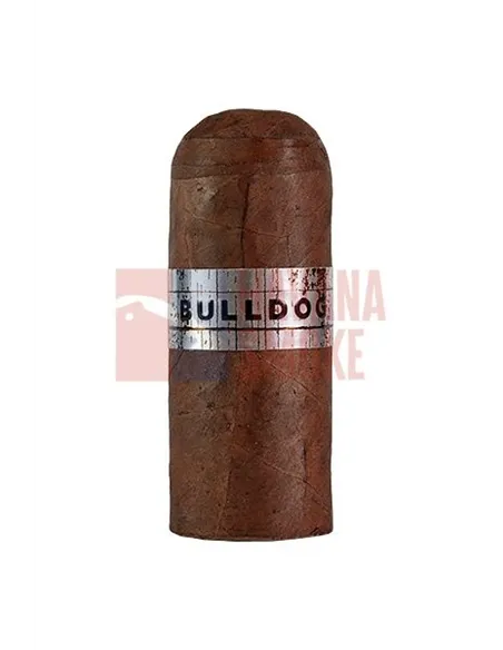 Pelo de Oro Bulldog Sun Grown