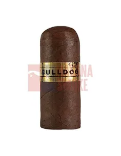 Pelo de Oro Bulldog Maduro