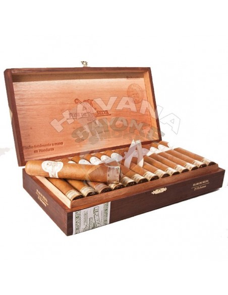 Flor De Selva Robusto Boite - купить в интернет-магазине Havana Smoke